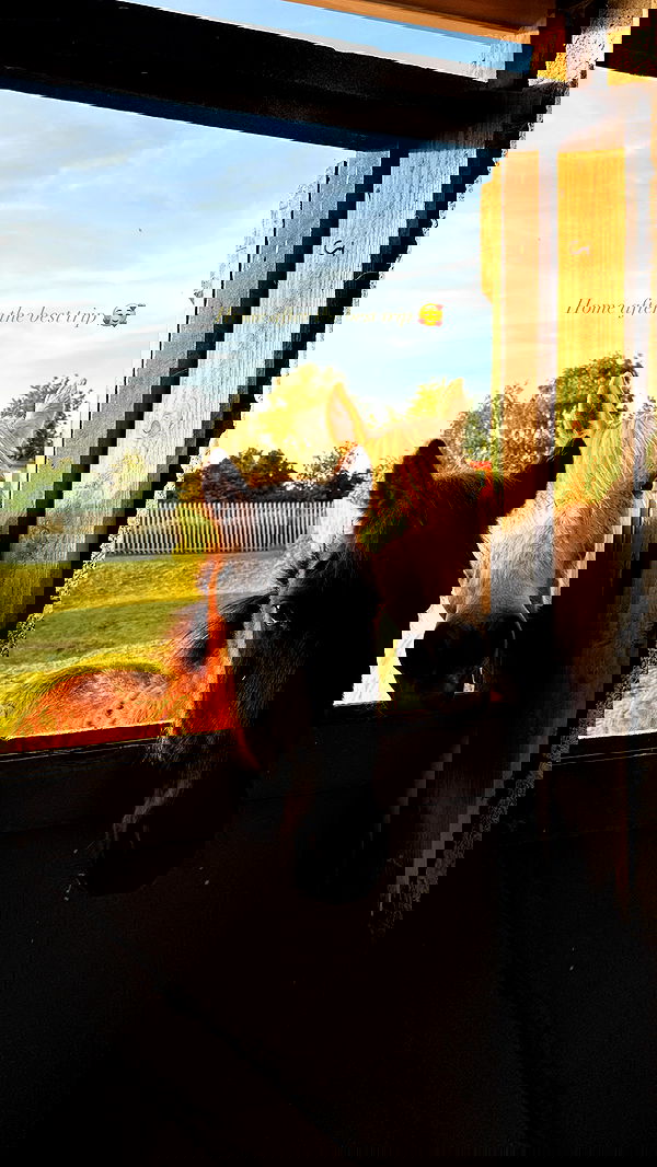 victoriaturnerr image ~ Altpins