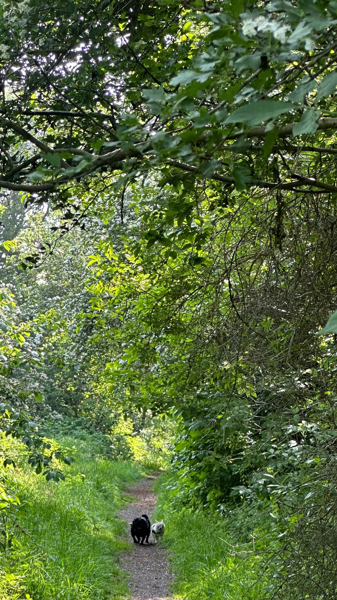 victoriaturnerr instagram image archive image