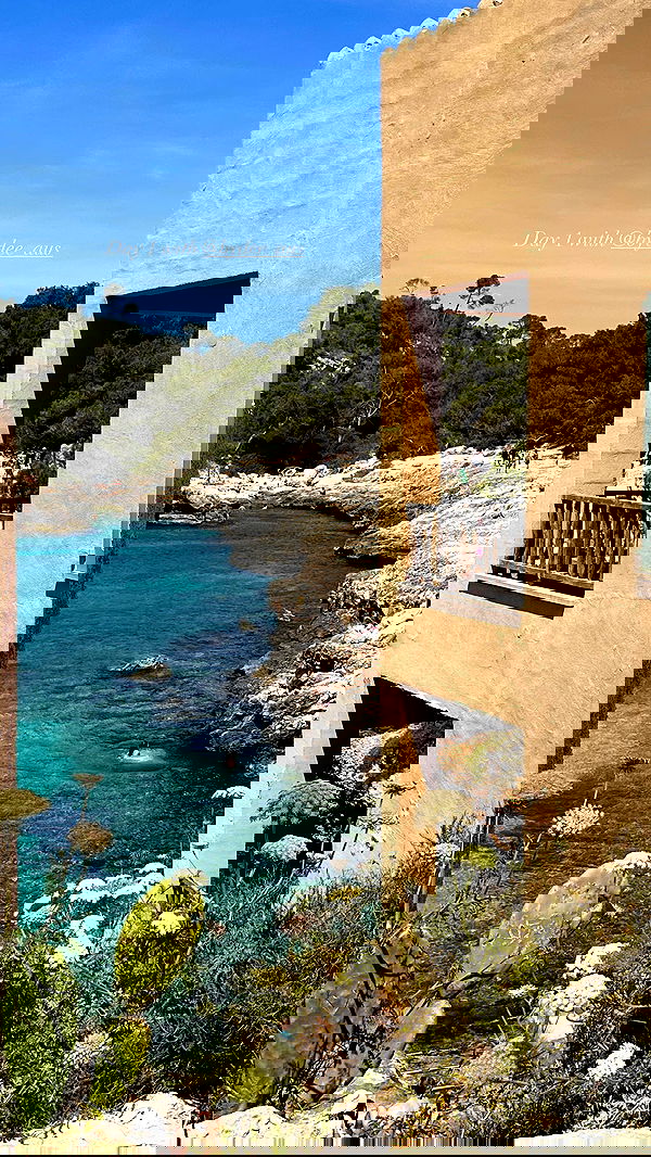 victoriaturnerr image ~ Altpins