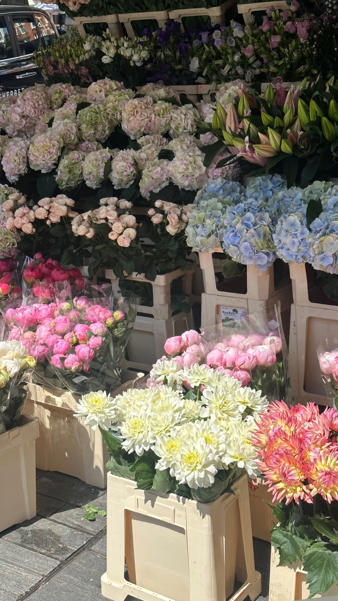 victoriaturnerr instagram image archive image