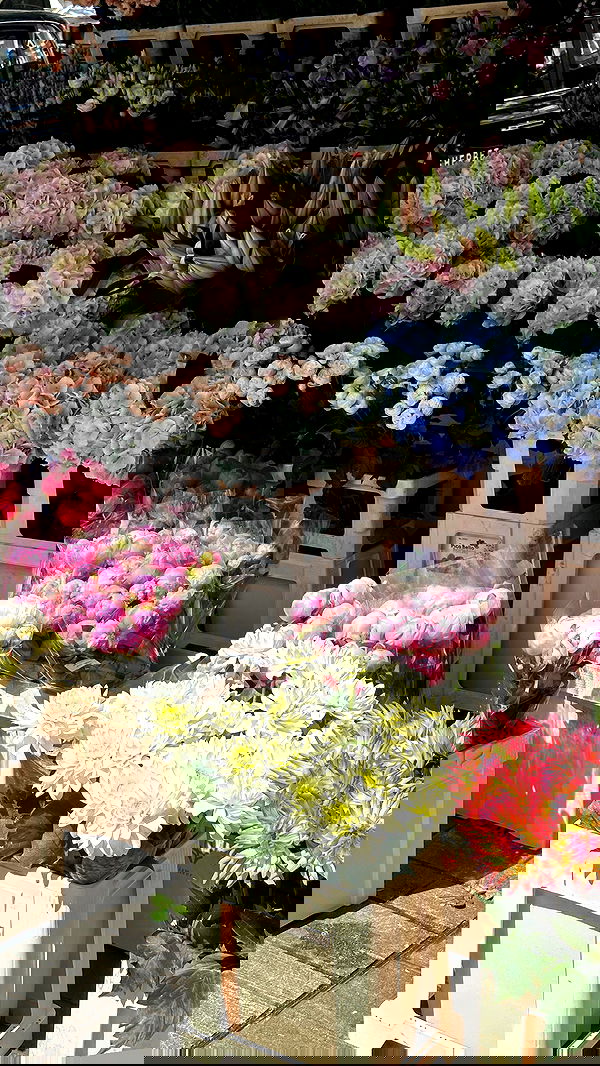 victoriaturnerr image ~ Altpins