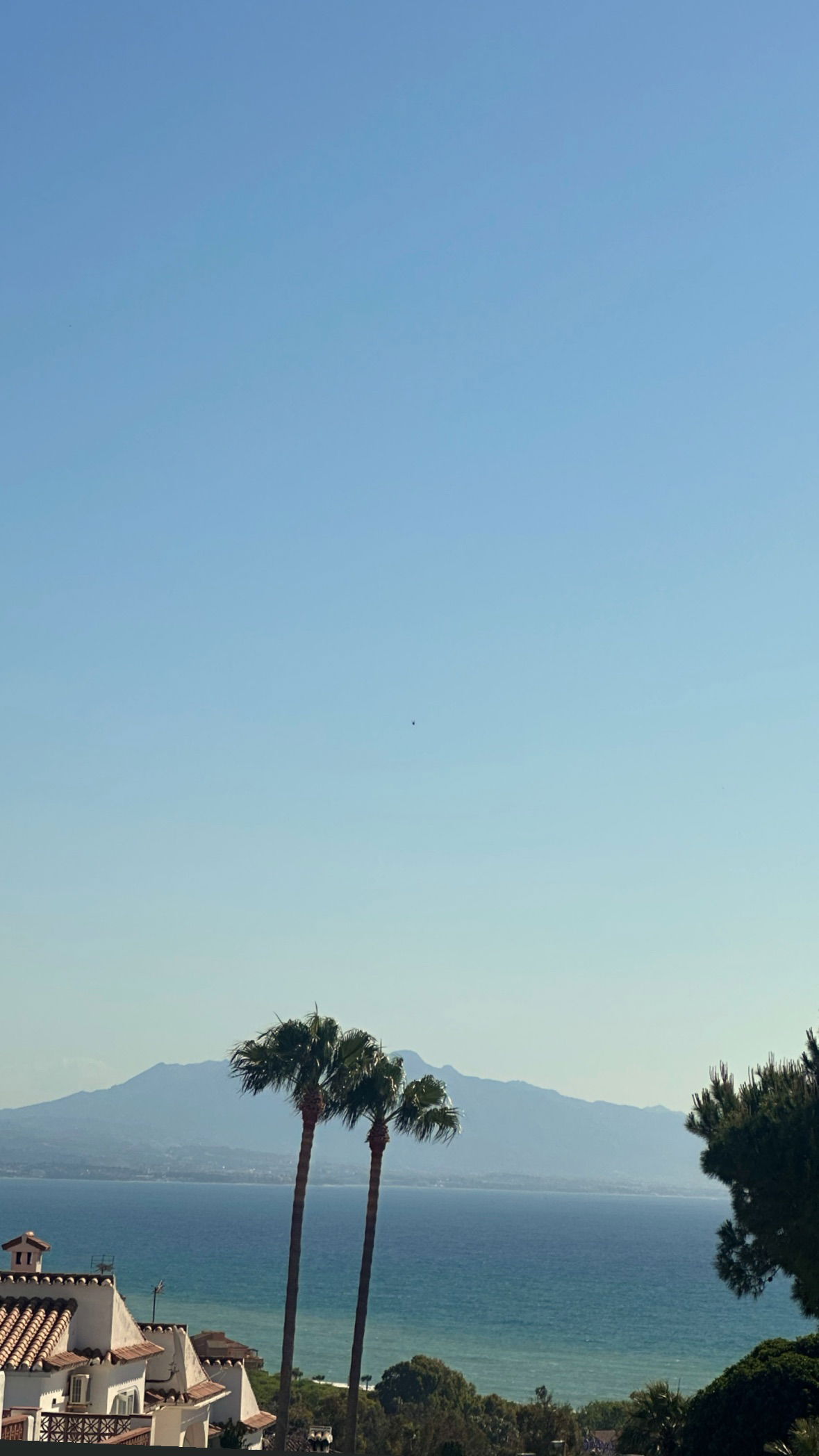 victoriaturnerr instagram image archive image