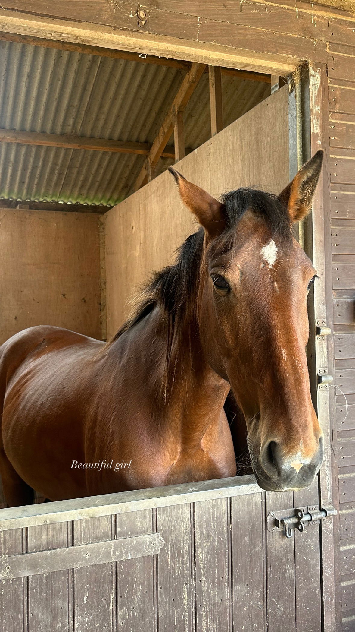 victoriaturnerr instagram image archive image