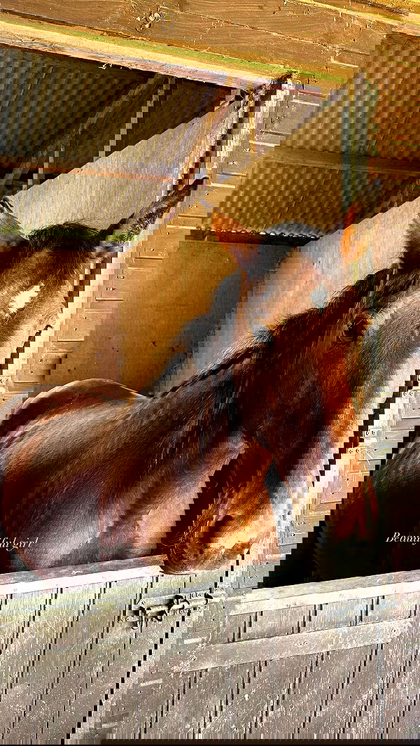 victoriaturnerr image ~ Altpins