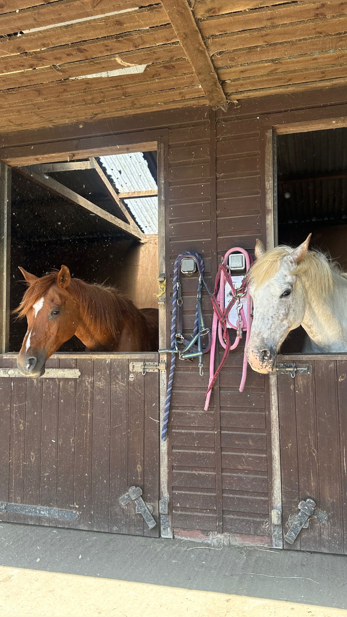 victoriaturnerr instagram image archive image