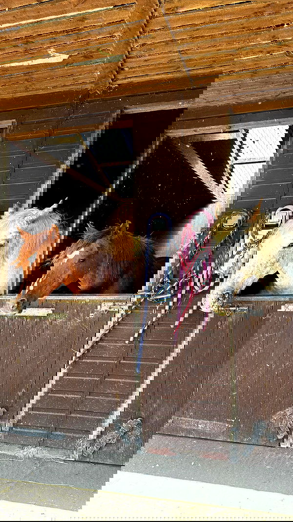 victoriaturnerr image ~ Altpins