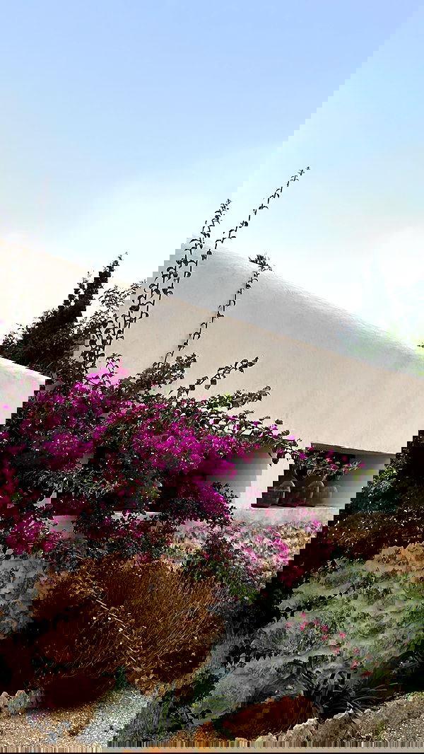 victoriaturnerr image ~ Altpins