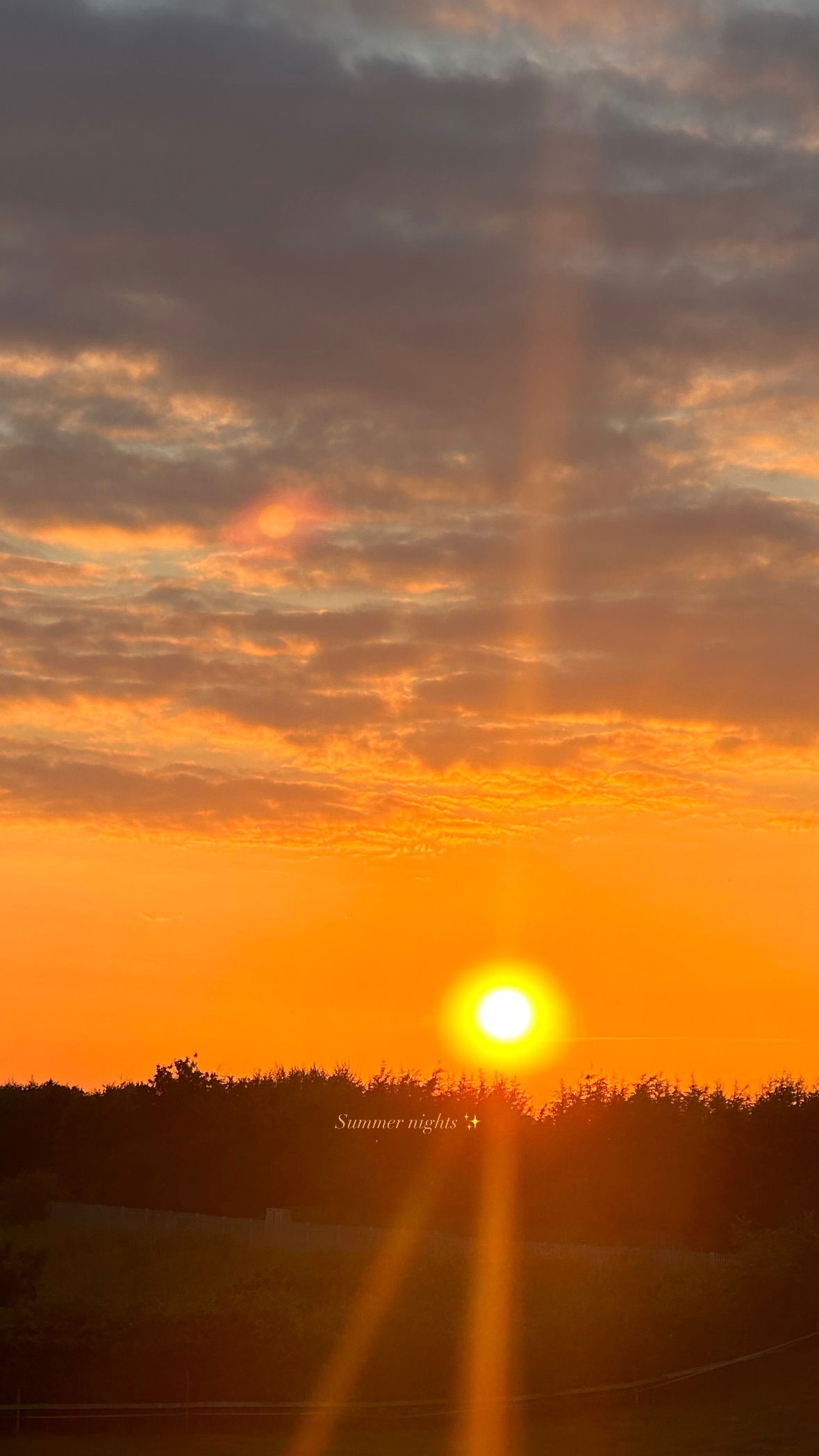 victoriaturnerr instagram image archive image