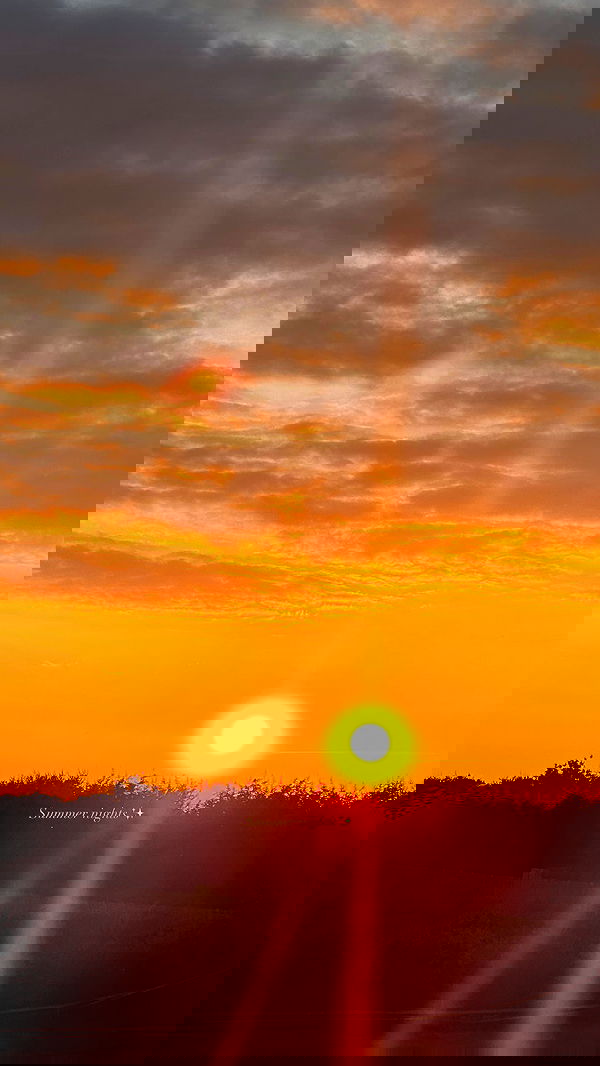 victoriaturnerr image ~ Altpins