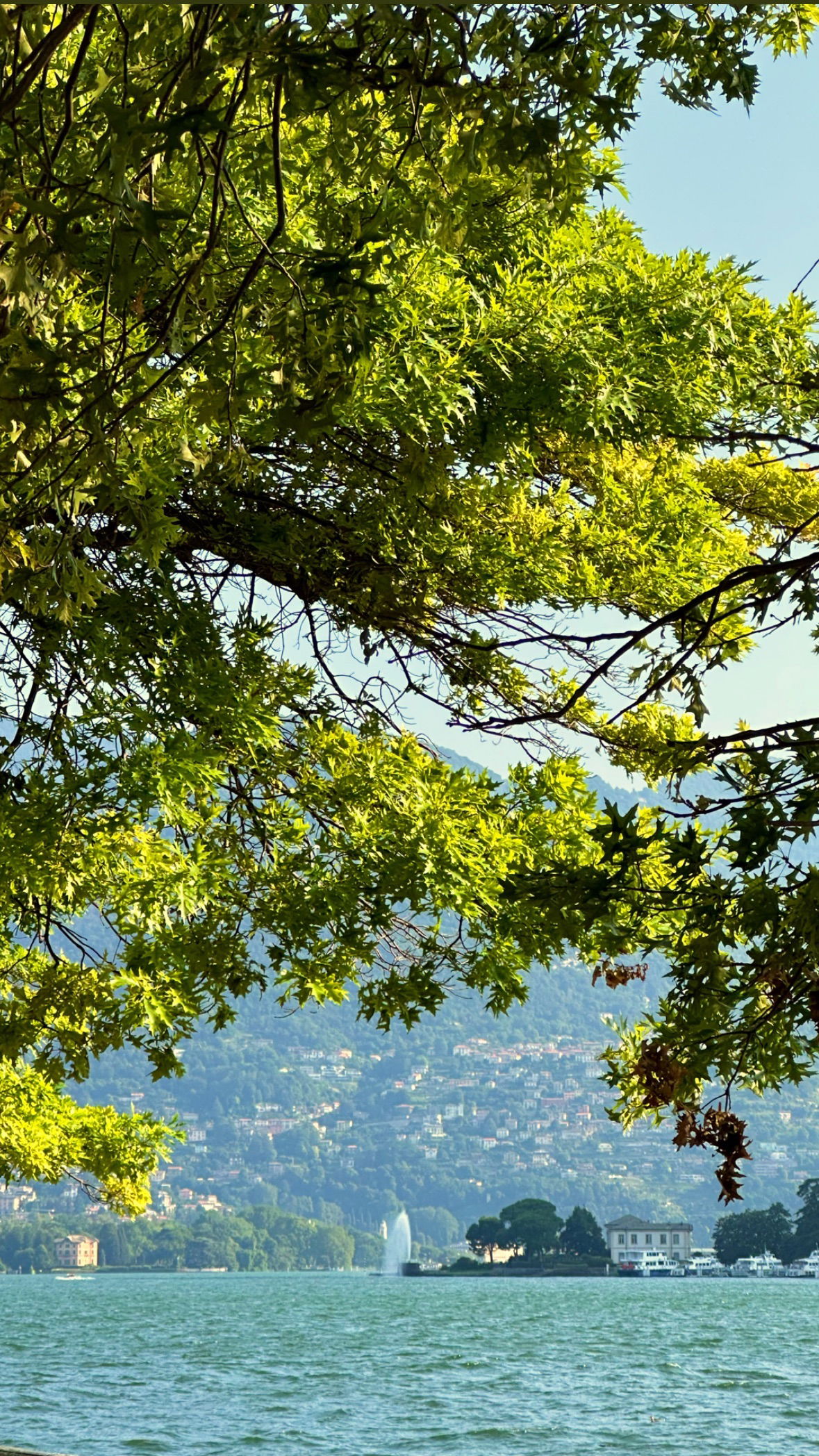 victoriaturnerr instagram image archive image