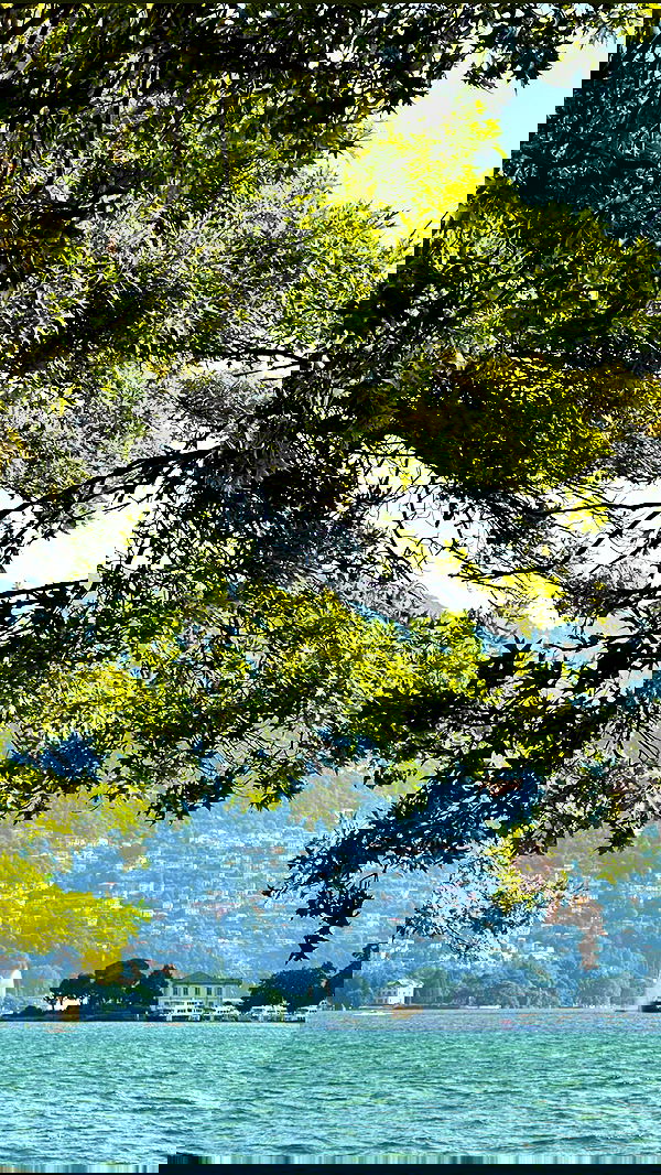 victoriaturnerr image ~ Altpins