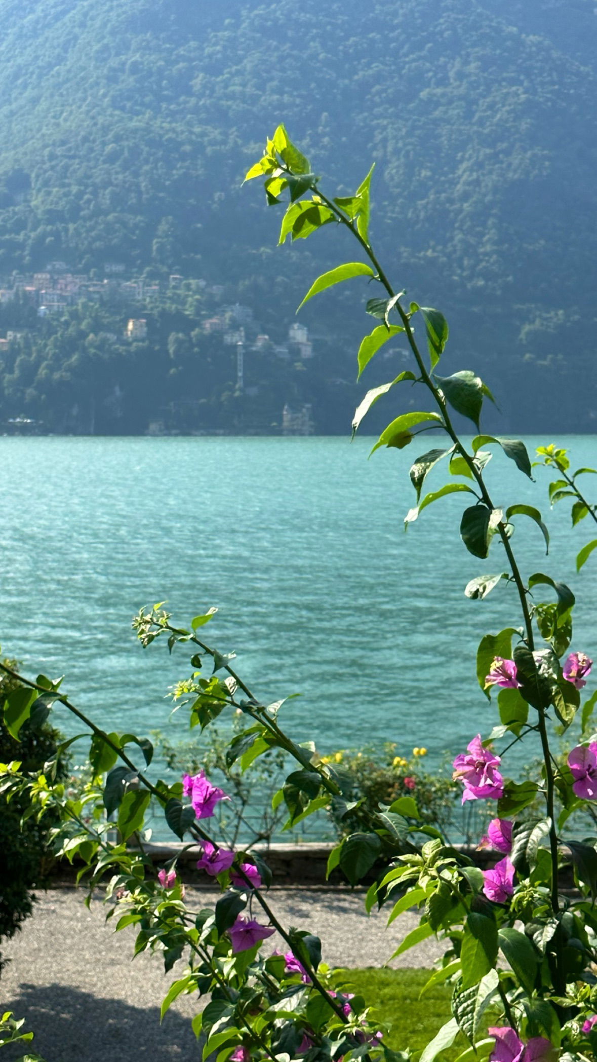 victoriaturnerr instagram image archive image