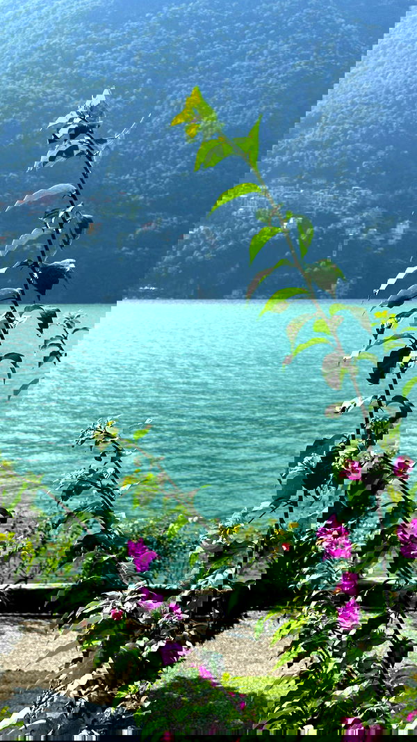 victoriaturnerr image ~ Altpins