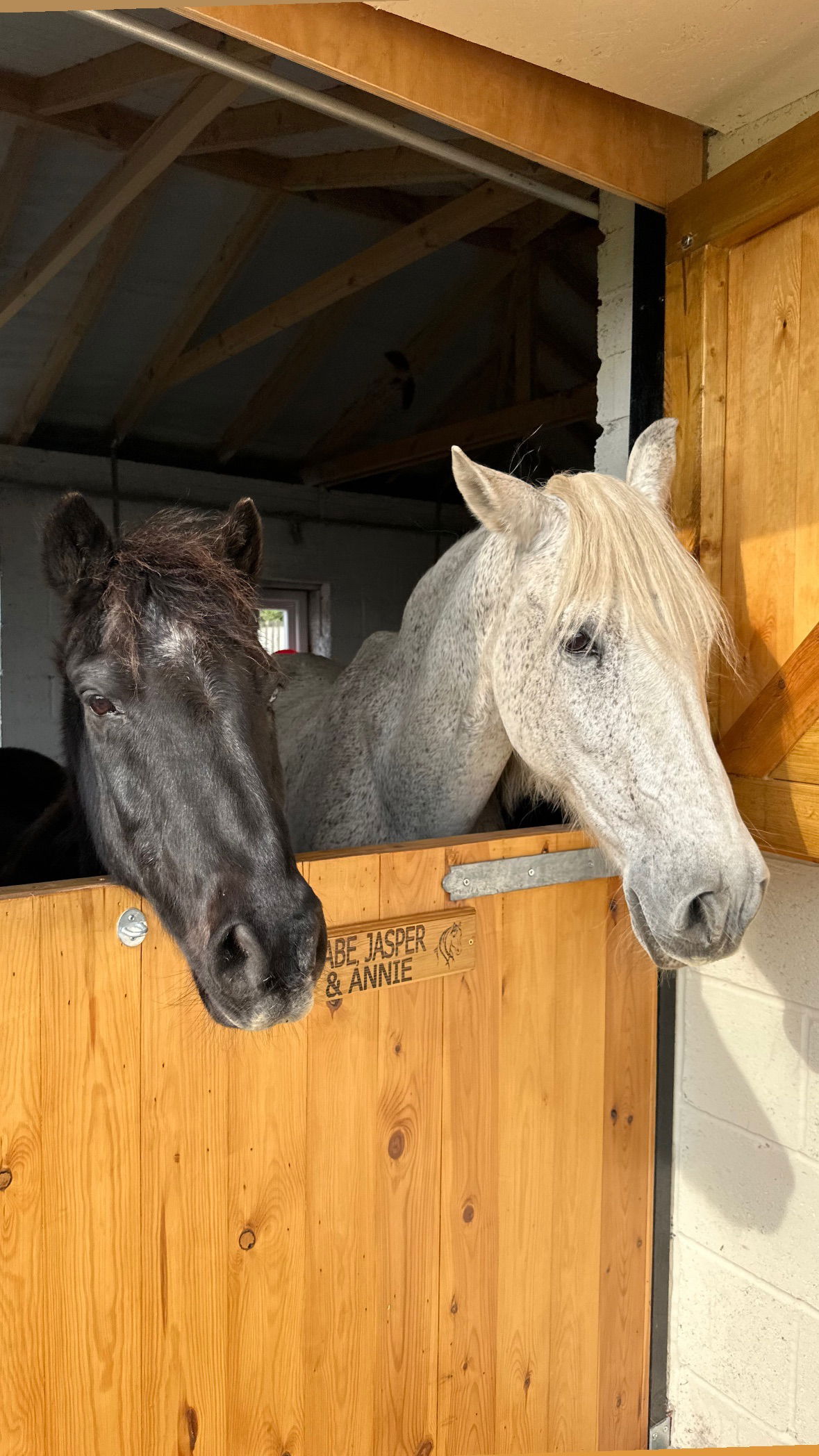 victoriaturnerr instagram image archive image