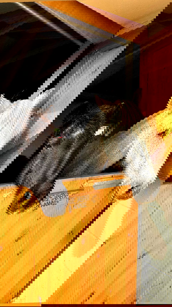 victoriaturnerr image ~ Altpins