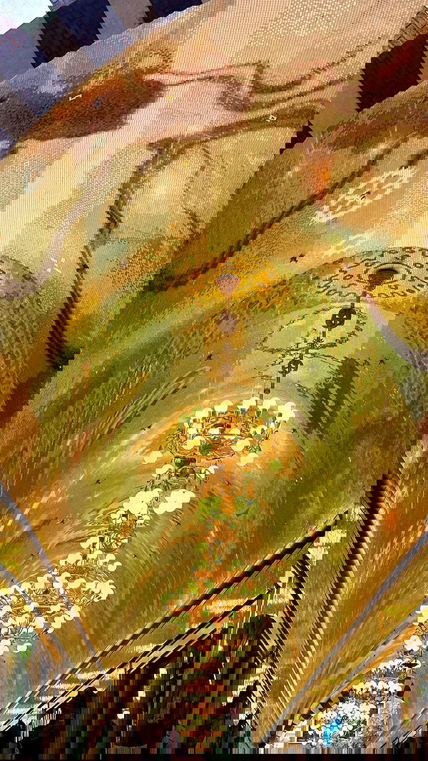 victoriaturnerr image ~ Altpins