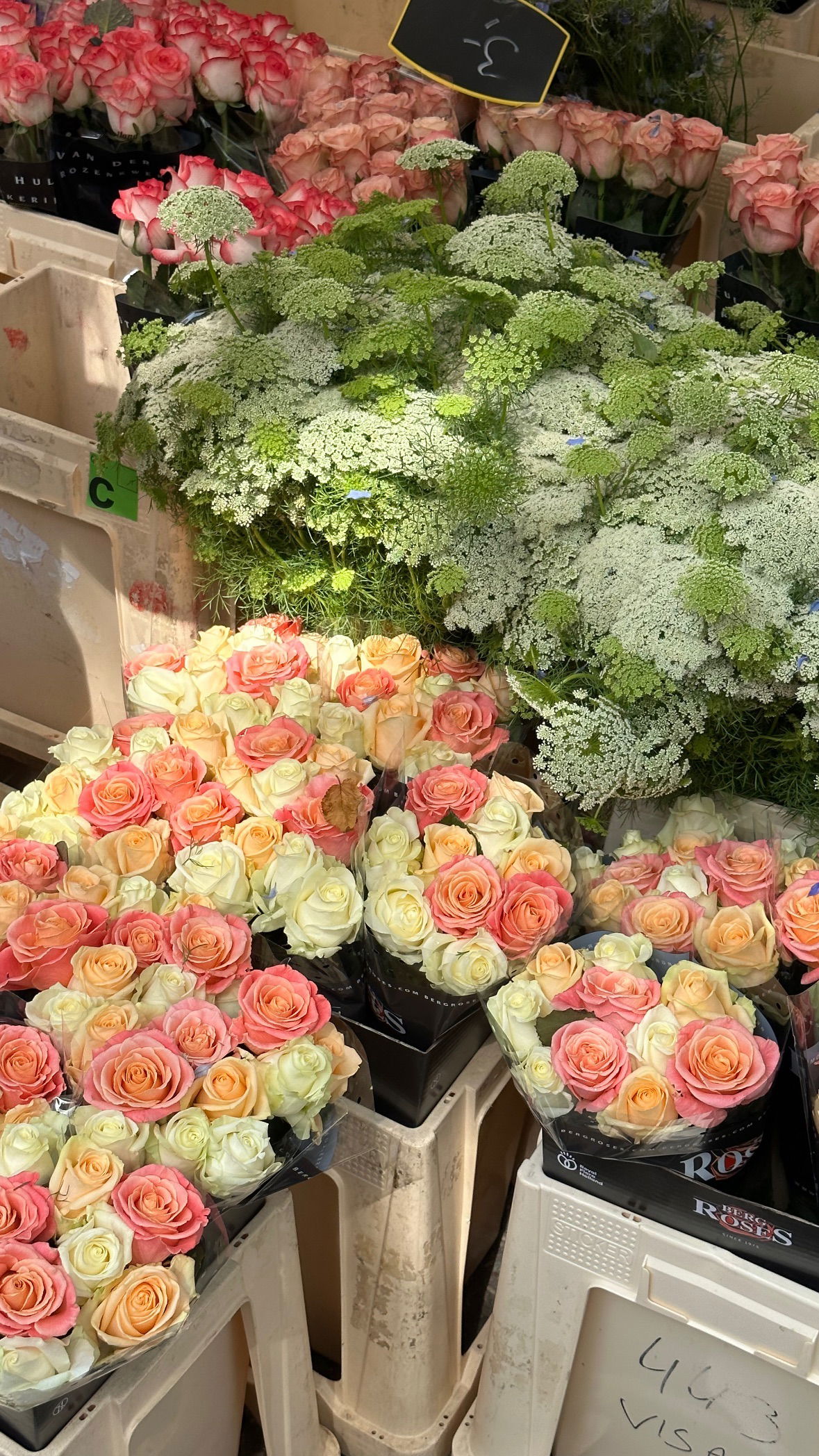 victoriaturnerr instagram image archive image