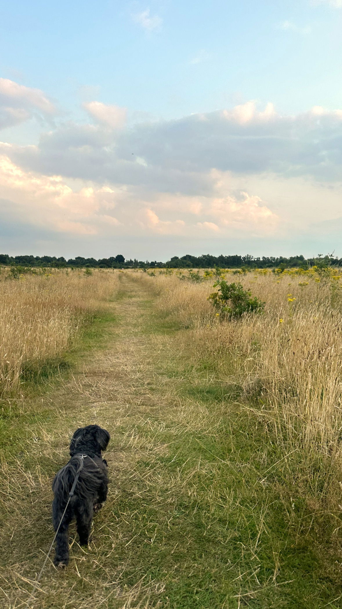 victoriaturnerr instagram image archive image