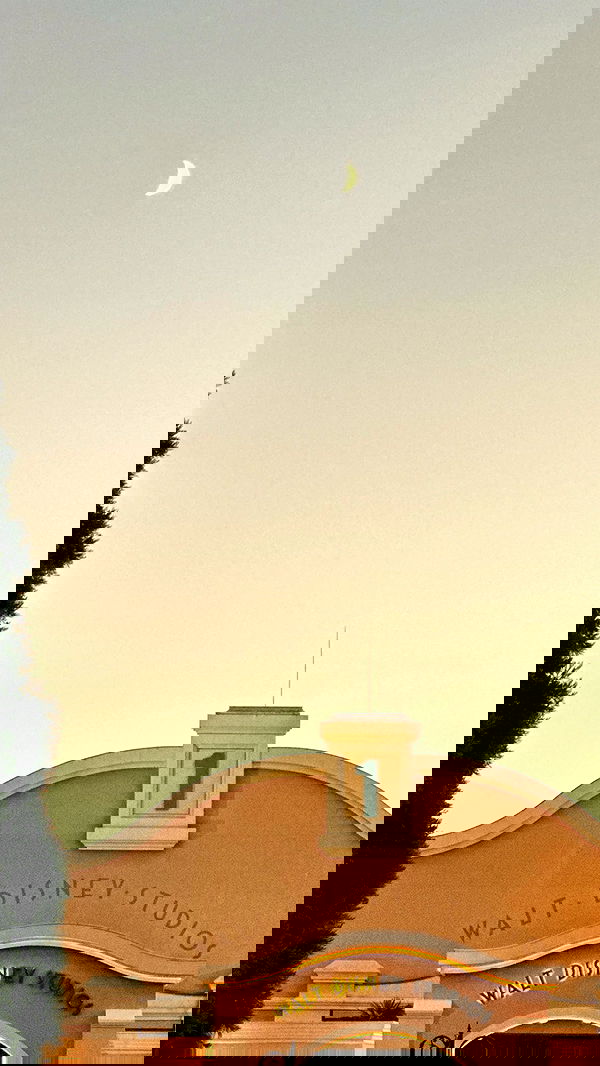 victoriaturnerr image ~ Altpins