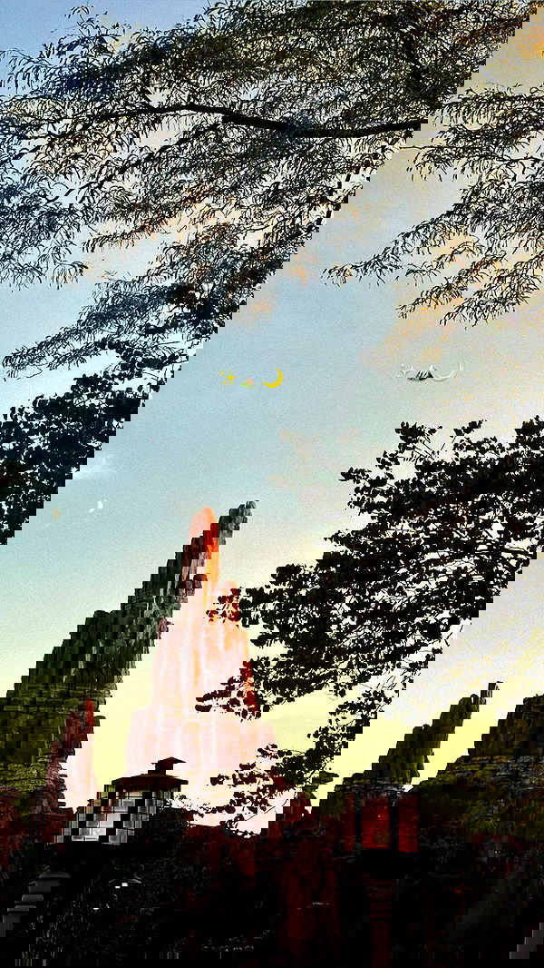 victoriaturnerr image ~ Altpins