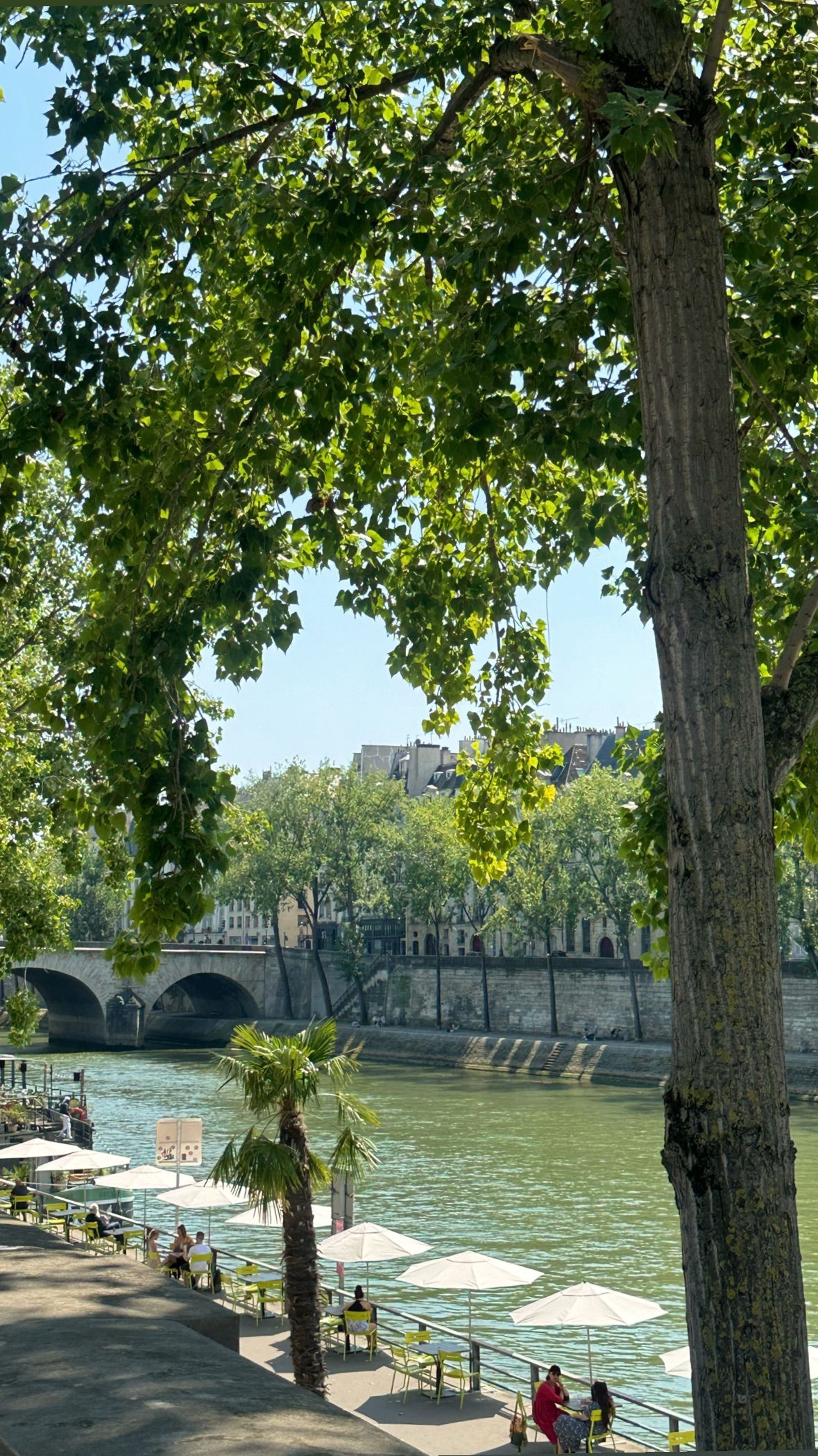 victoriaturnerr instagram image archive image