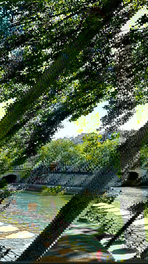 victoriaturnerr image ~ Altpins