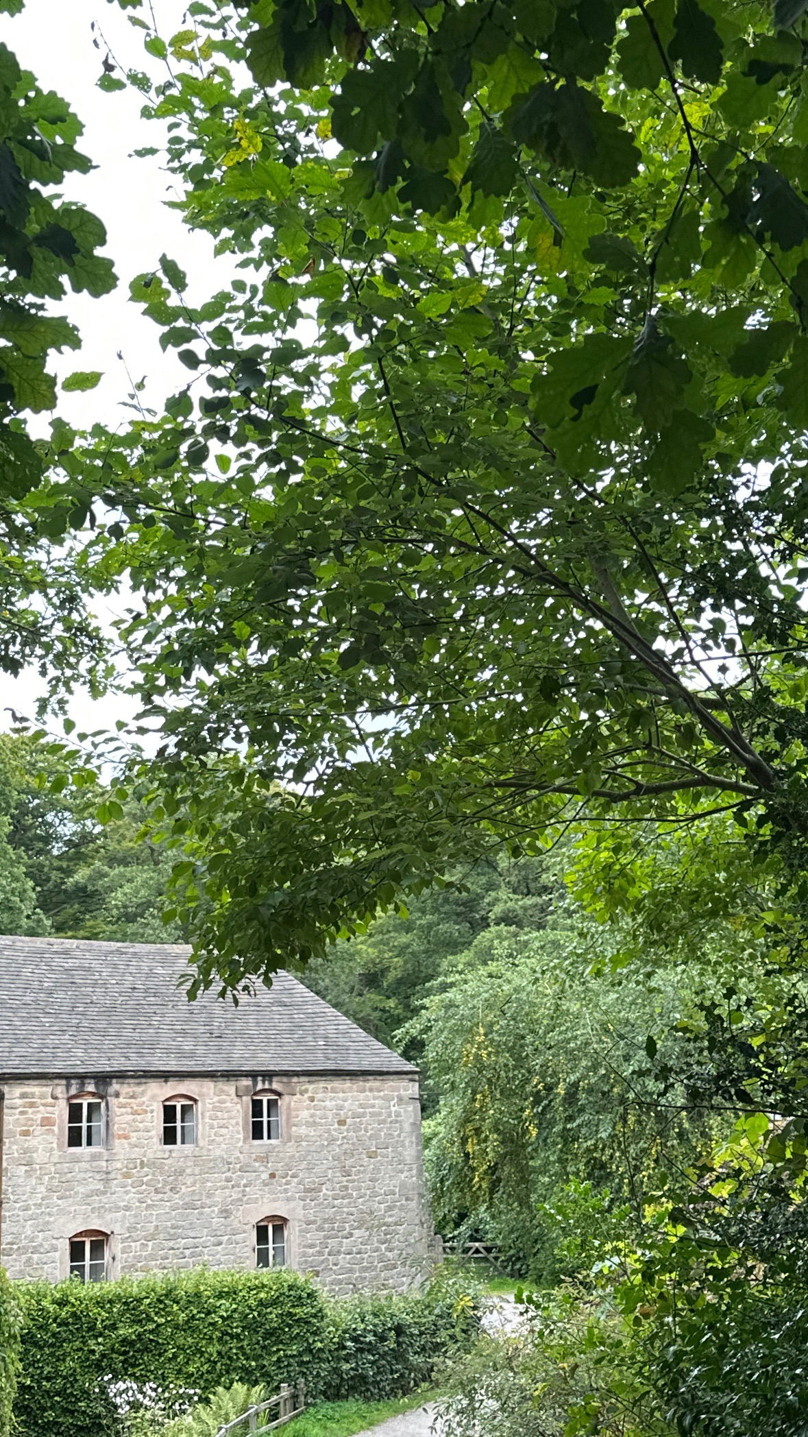 victoriaturnerr instagram image archive image