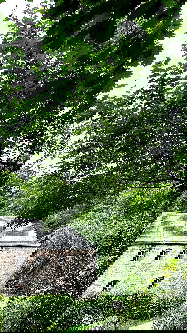 victoriaturnerr image ~ Altpins