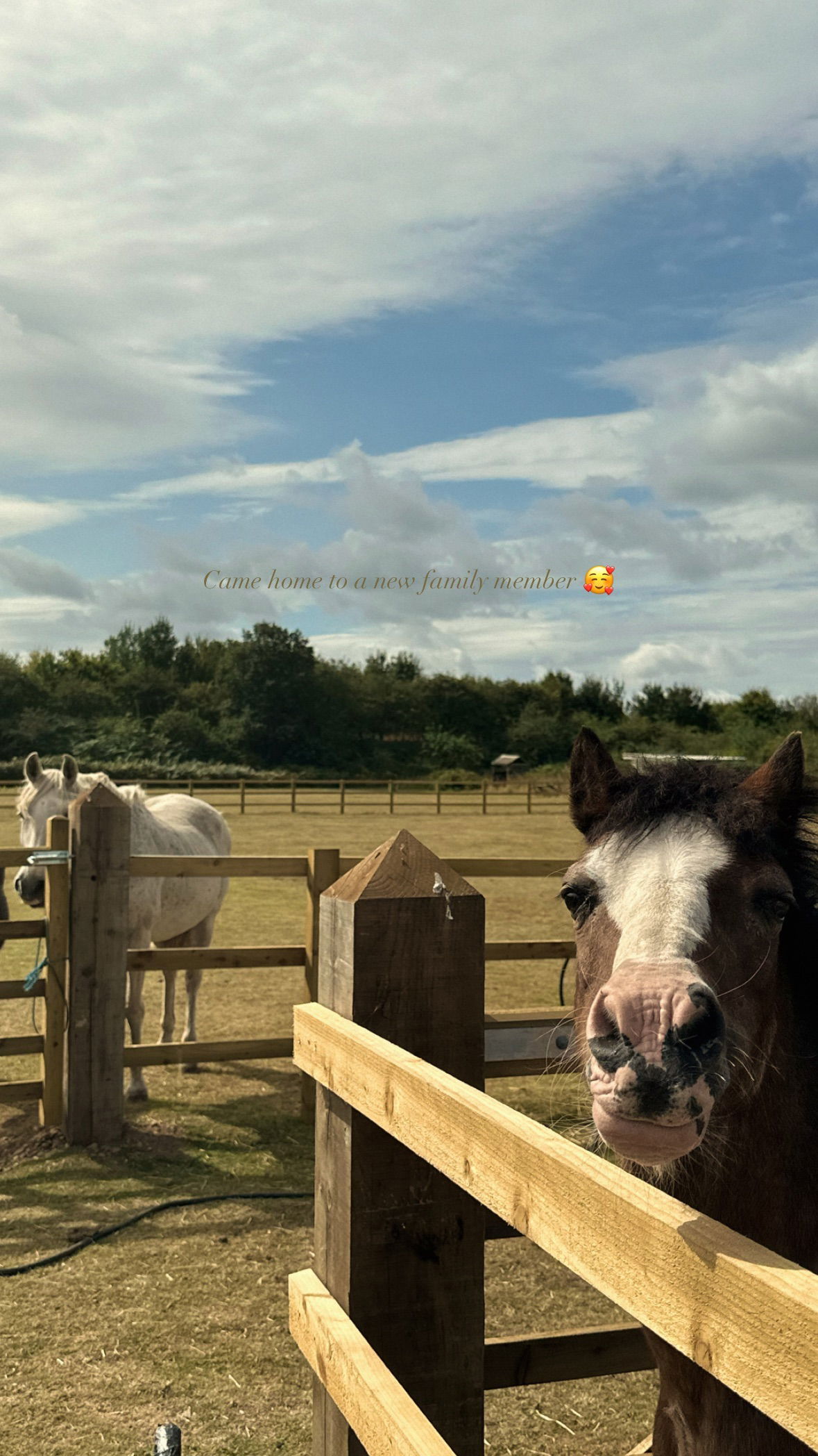 victoriaturnerr instagram image archive image