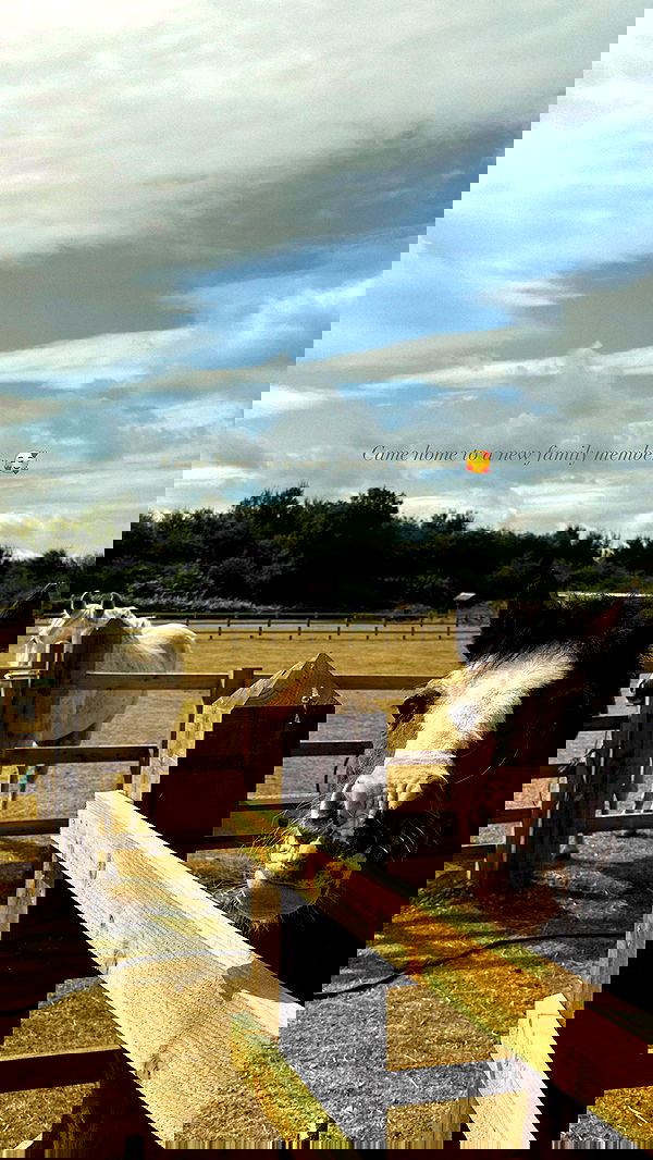 victoriaturnerr image ~ Altpins