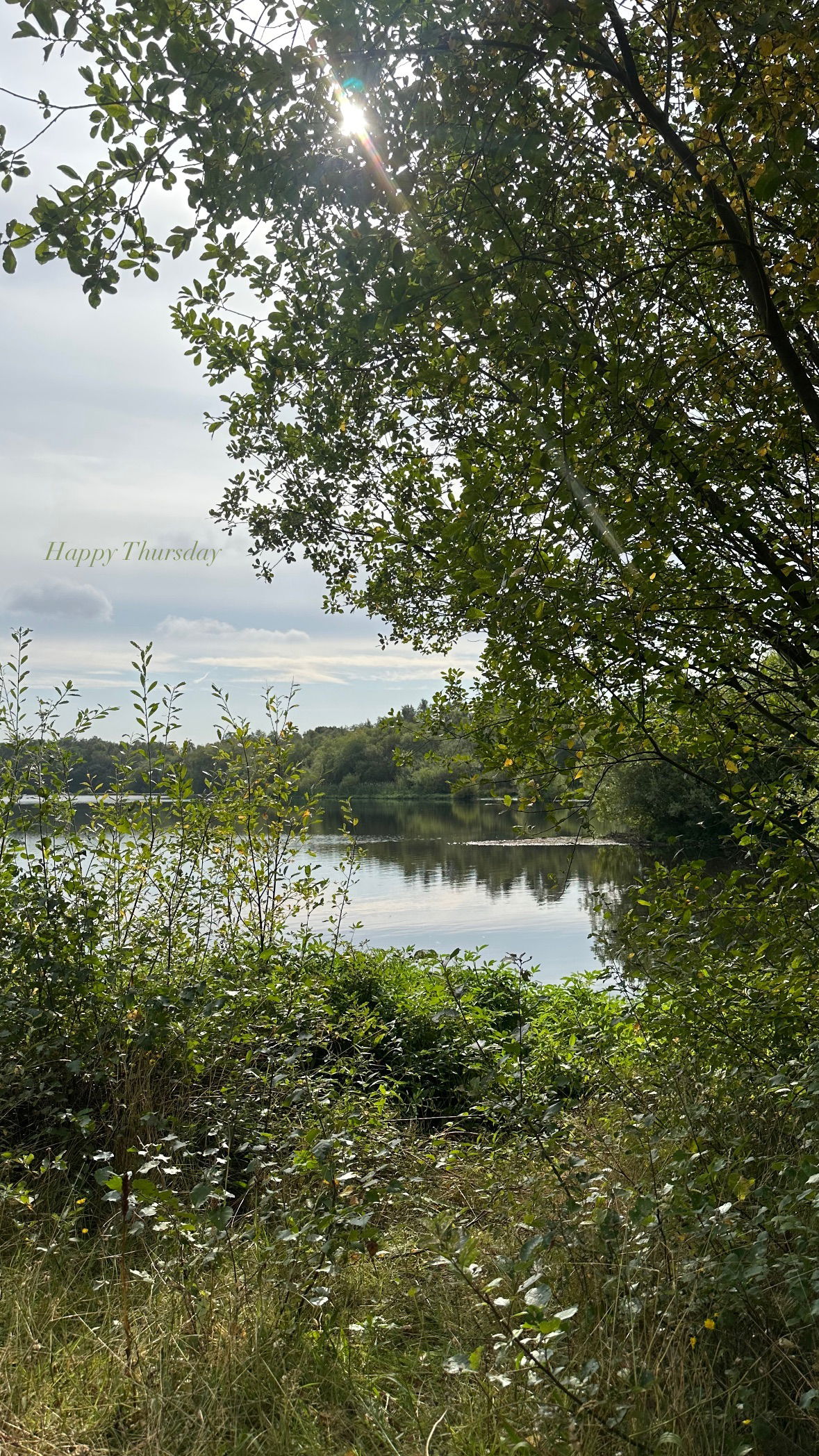 victoriaturnerr instagram image archive image