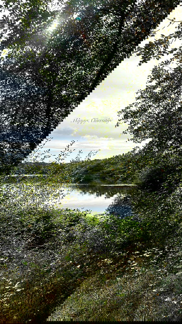 victoriaturnerr image ~ Altpins