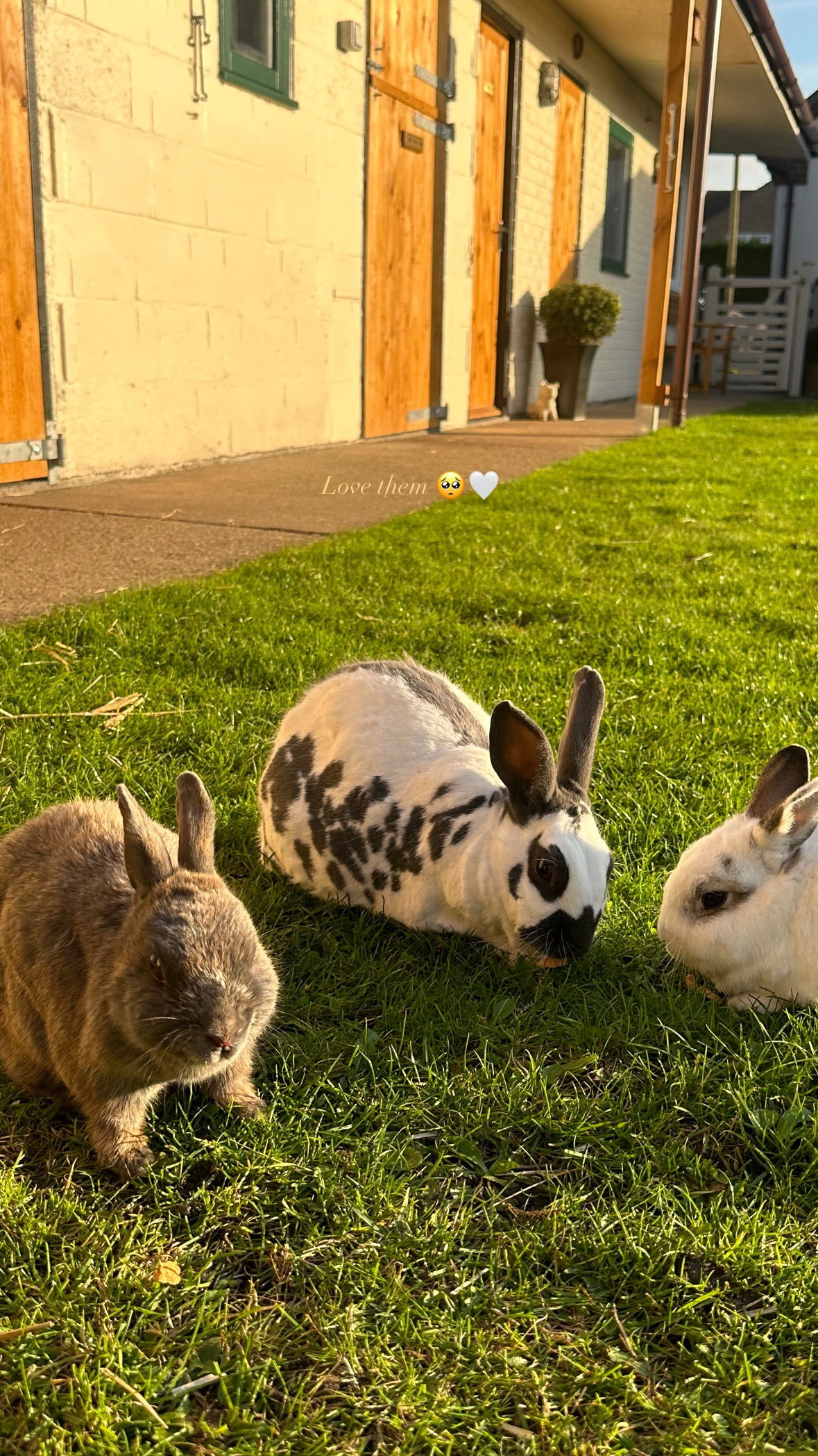 victoriaturnerr instagram image archive image