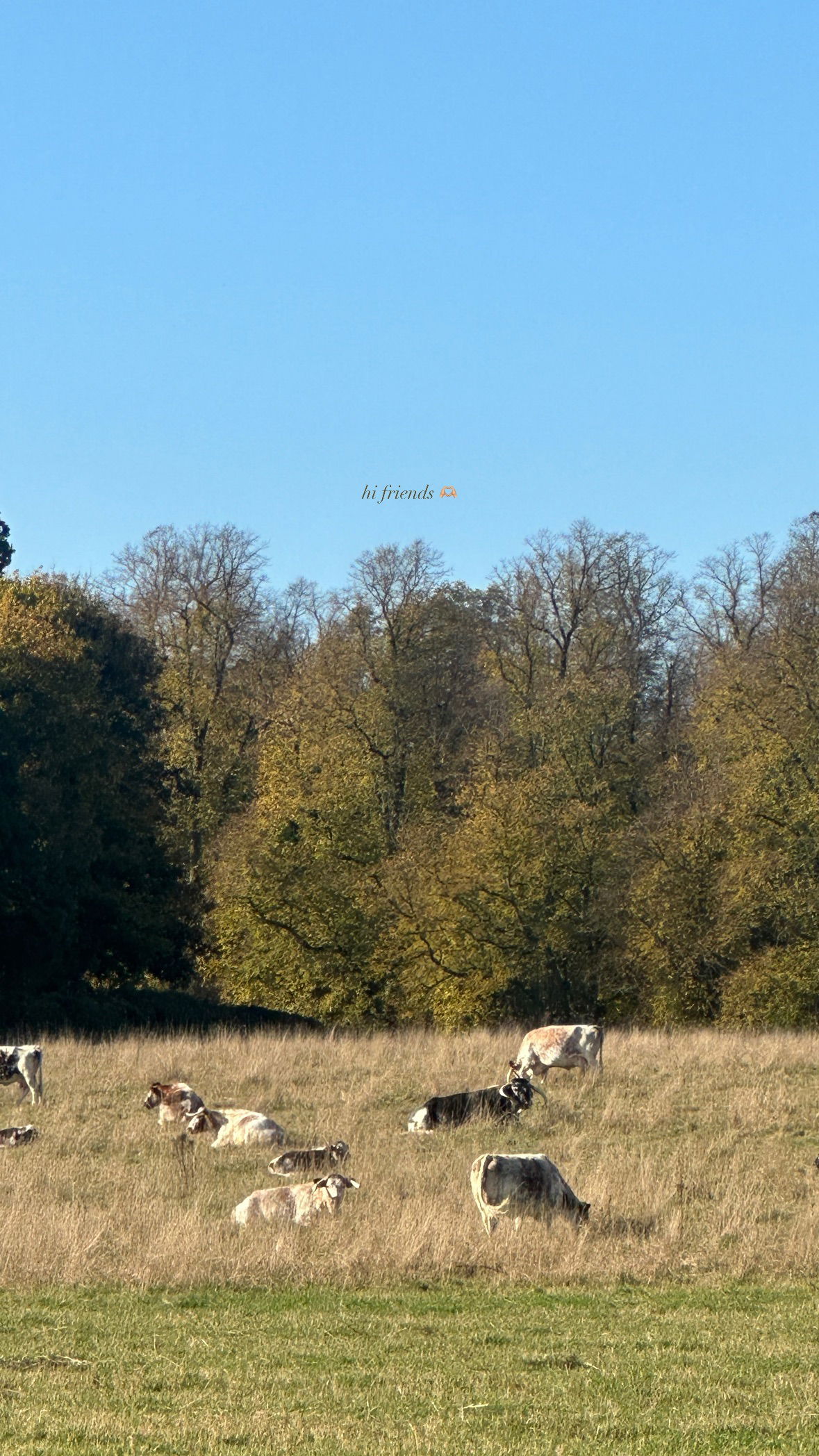 victoriaturnerr instagram image archive image