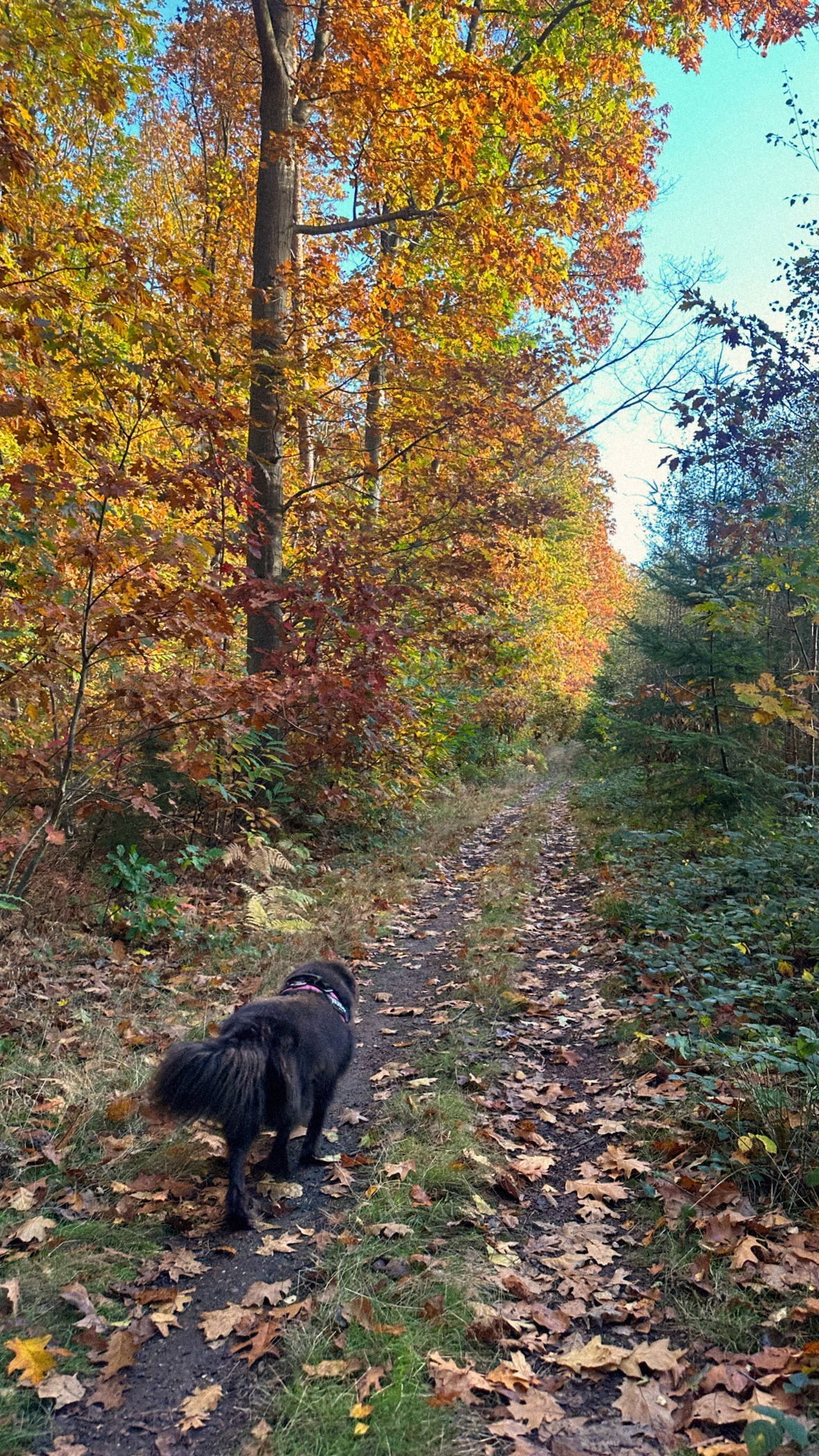 victoriaturnerr instagram image archive image