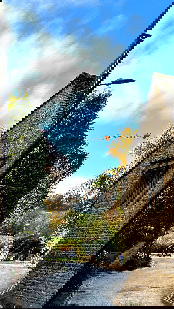 victoriaturnerr image ~ Altpins