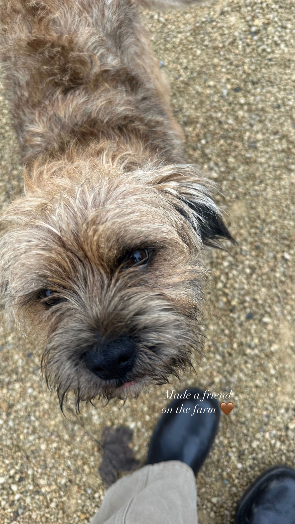 victoriaturnerr instagram image archive image