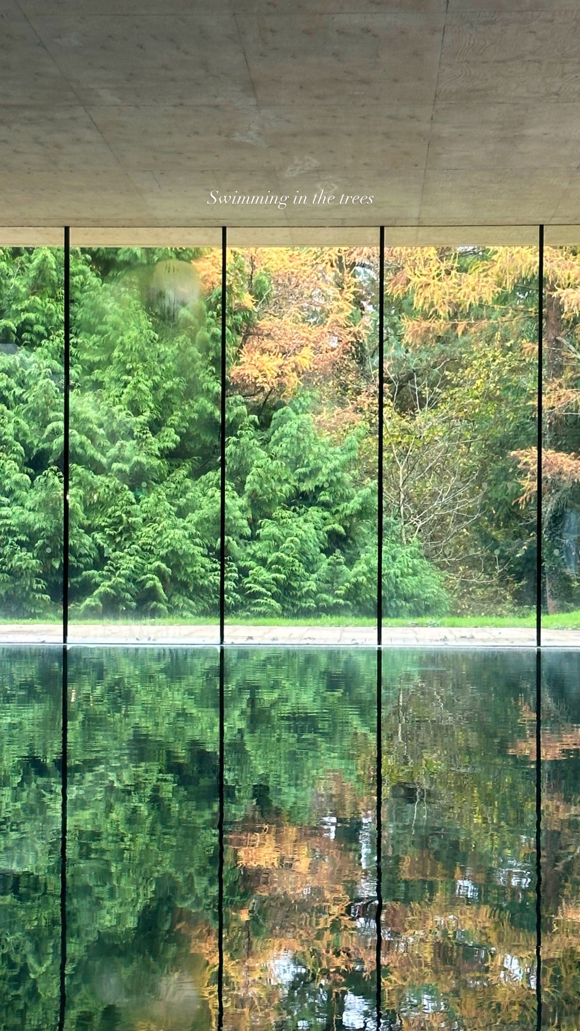 victoriaturnerr instagram image archive image