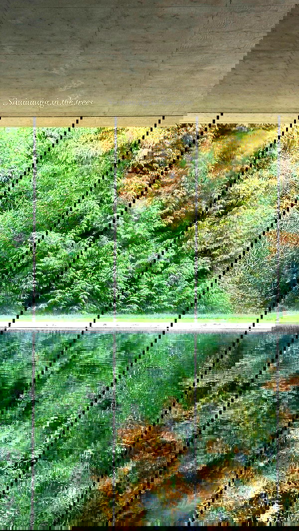 victoriaturnerr image ~ Altpins