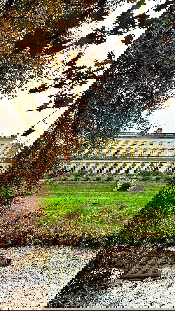 victoriaturnerr image ~ Altpins