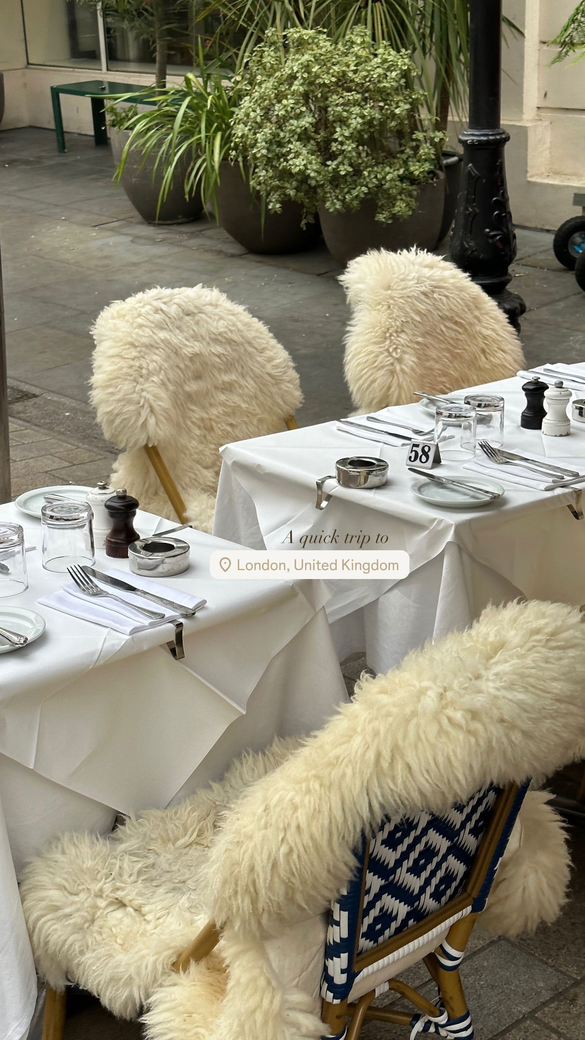 victoriaturnerr instagram image archive image