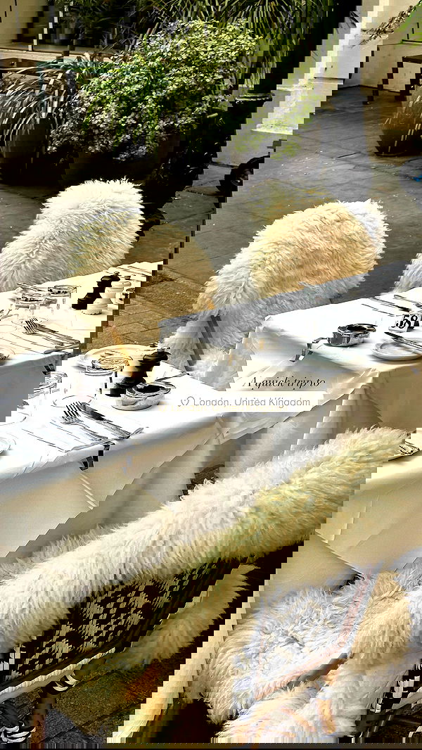 victoriaturnerr image ~ Altpins