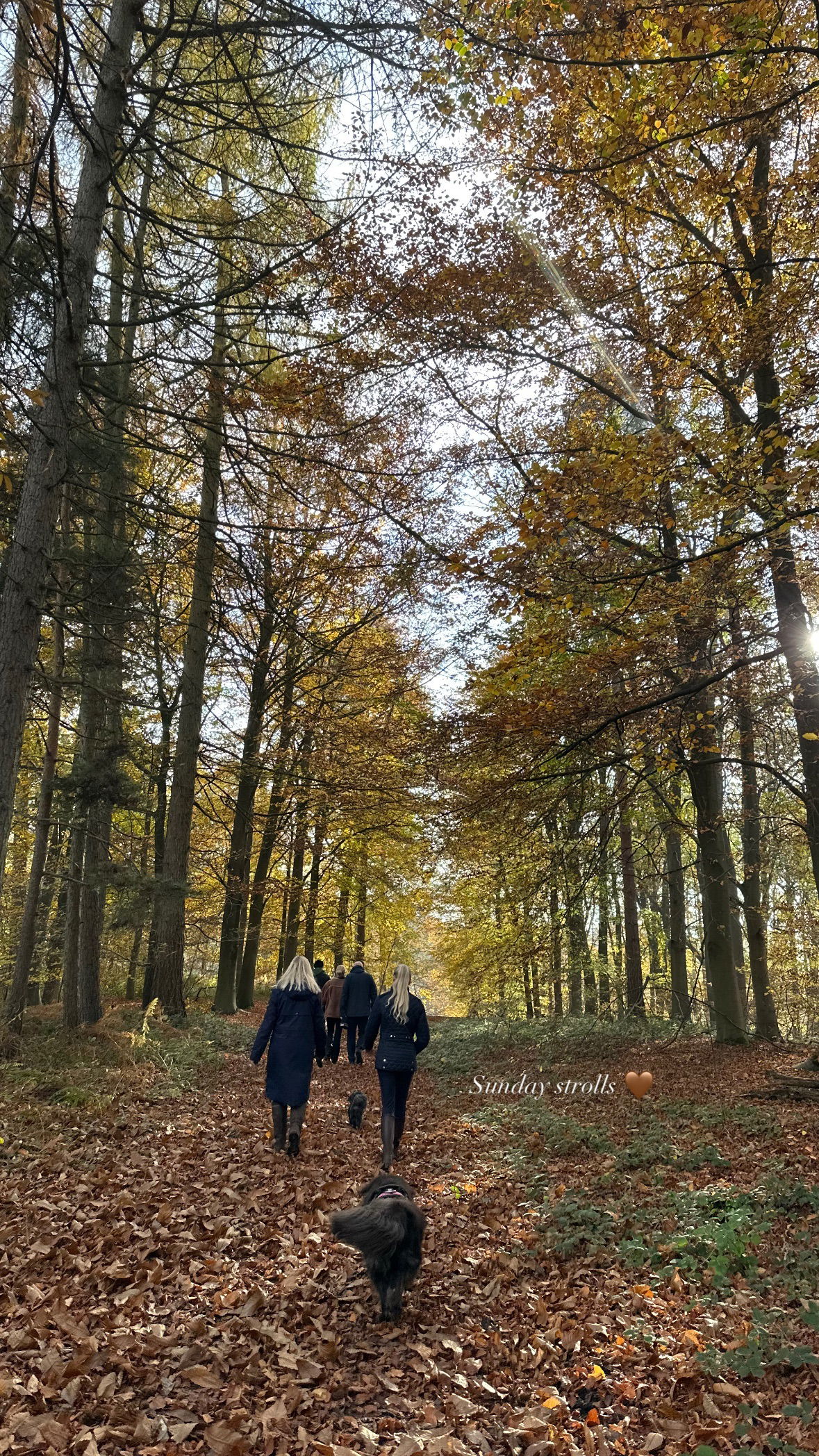 victoriaturnerr instagram image archive image