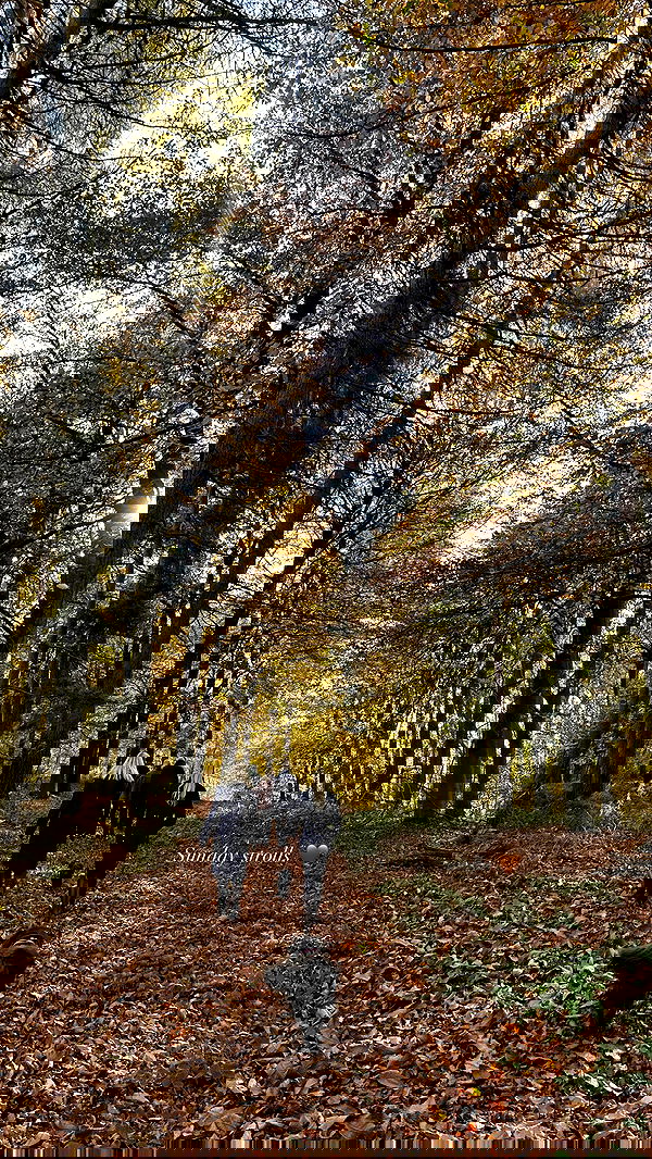 victoriaturnerr image ~ Altpins