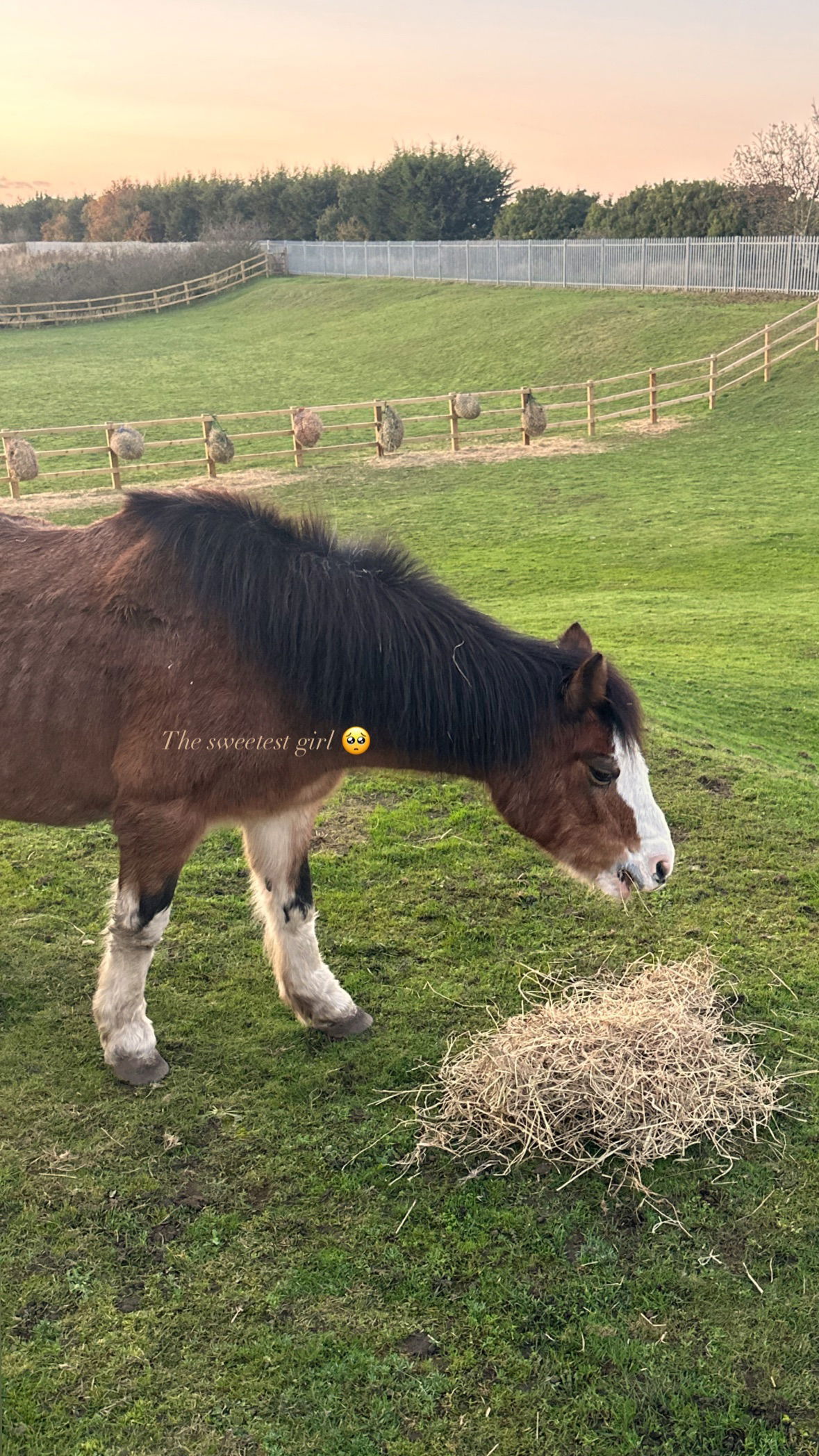 victoriaturnerr instagram image archive image