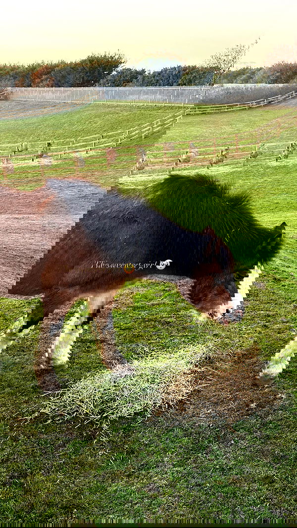 victoriaturnerr image ~ Altpins