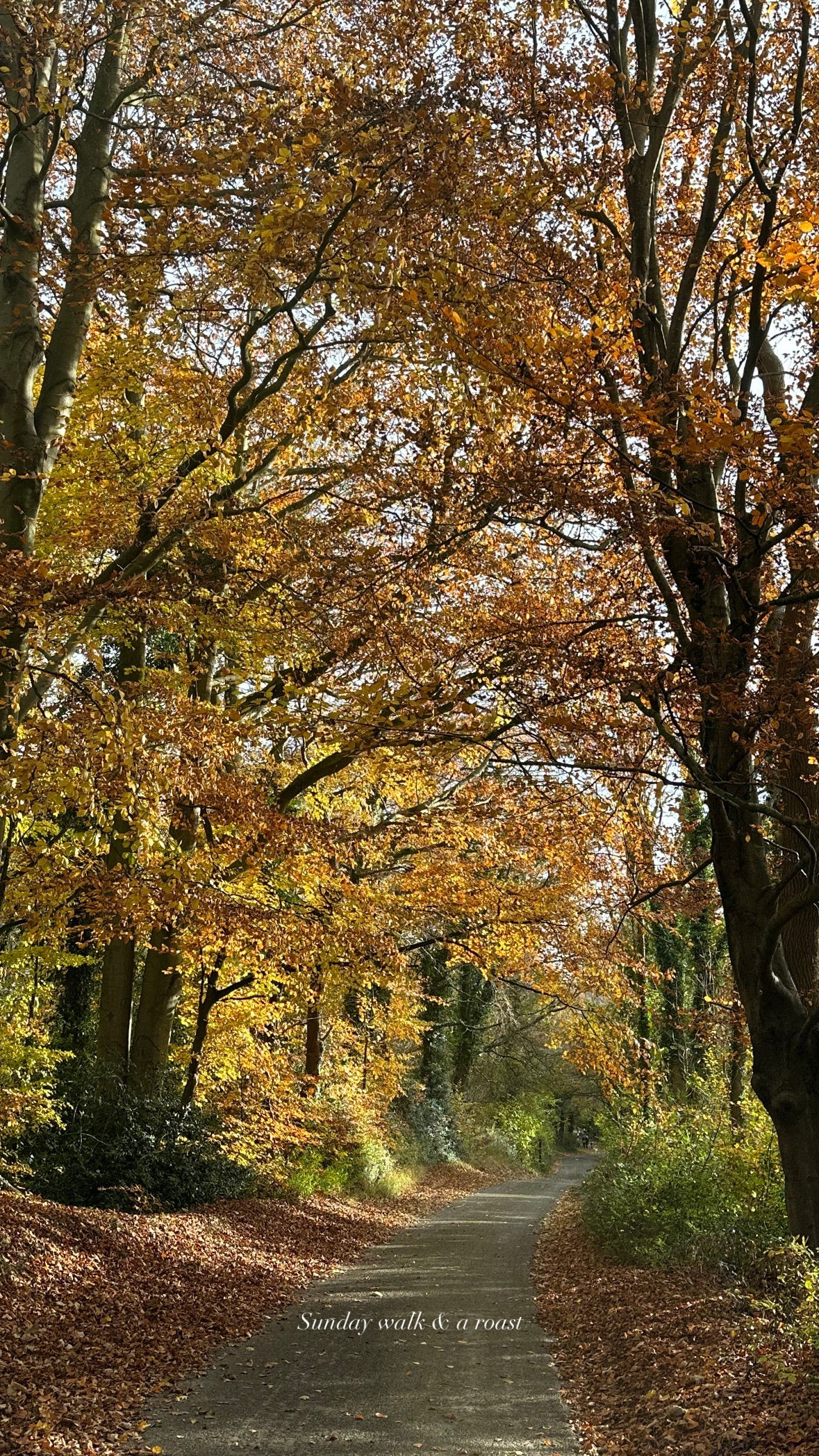 victoriaturnerr instagram image archive image