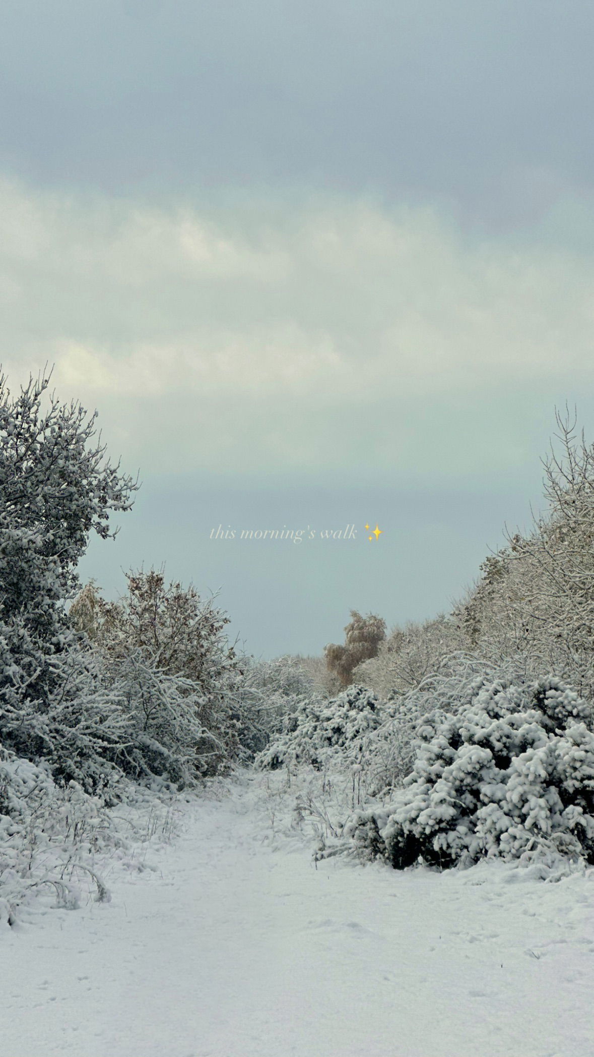 victoriaturnerr instagram image archive image