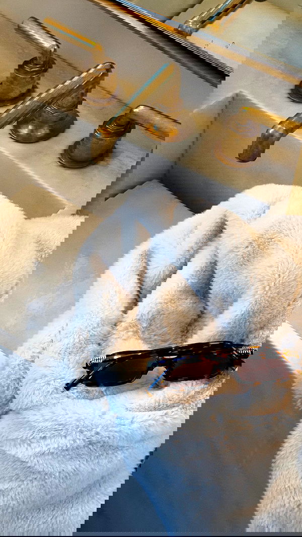 victoriaturnerr image ~ Altpins