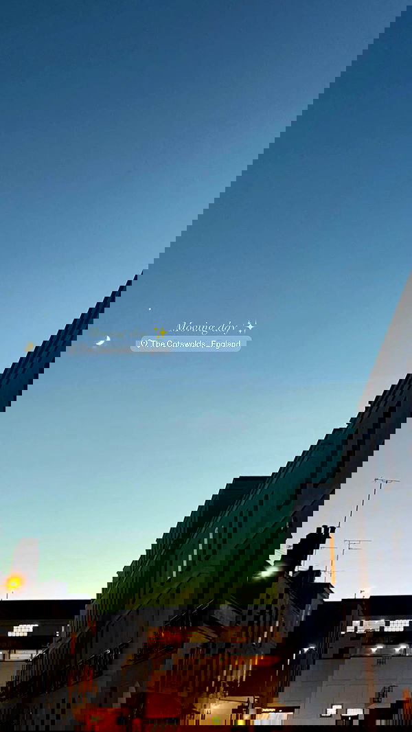 victoriaturnerr image ~ Altpins